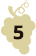 uva5
