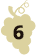 uva6
